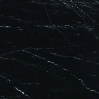 Elegant Black Lux