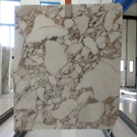 Calacatta Vagli Oro Honed