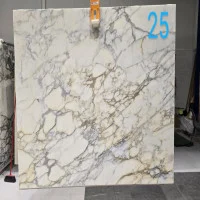 Calacatta Gold/Oro Honed