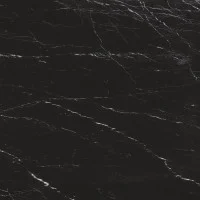 Elegant Black Satin
