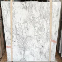 Bianco Eclypsia Calacatta stone sample