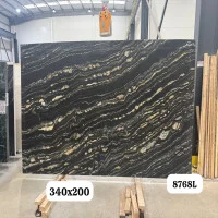Belvedere Leather stone sample
