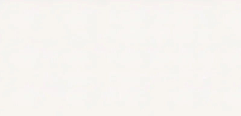 1141 Pure White