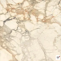 Calacatta Vena Vecchia Polished Bm