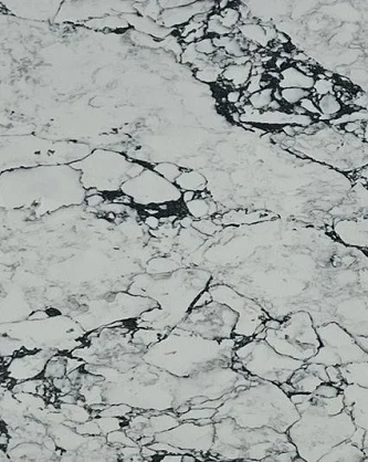 Arabescato Vagli Jumbo stone sample