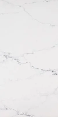 Alighieri stone sample