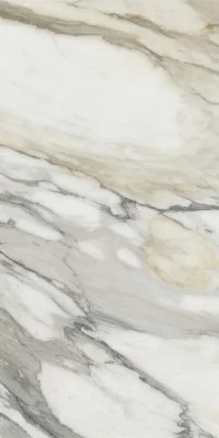 Borghini Royale
