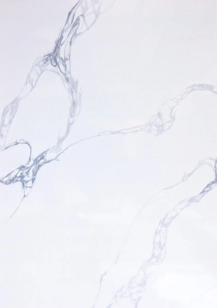 Stone World Calacatta Fantasy stone sample