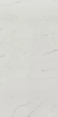 Michelangelo