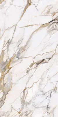 Cardellino