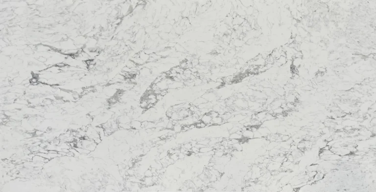 Arabescato Bianco stone sample